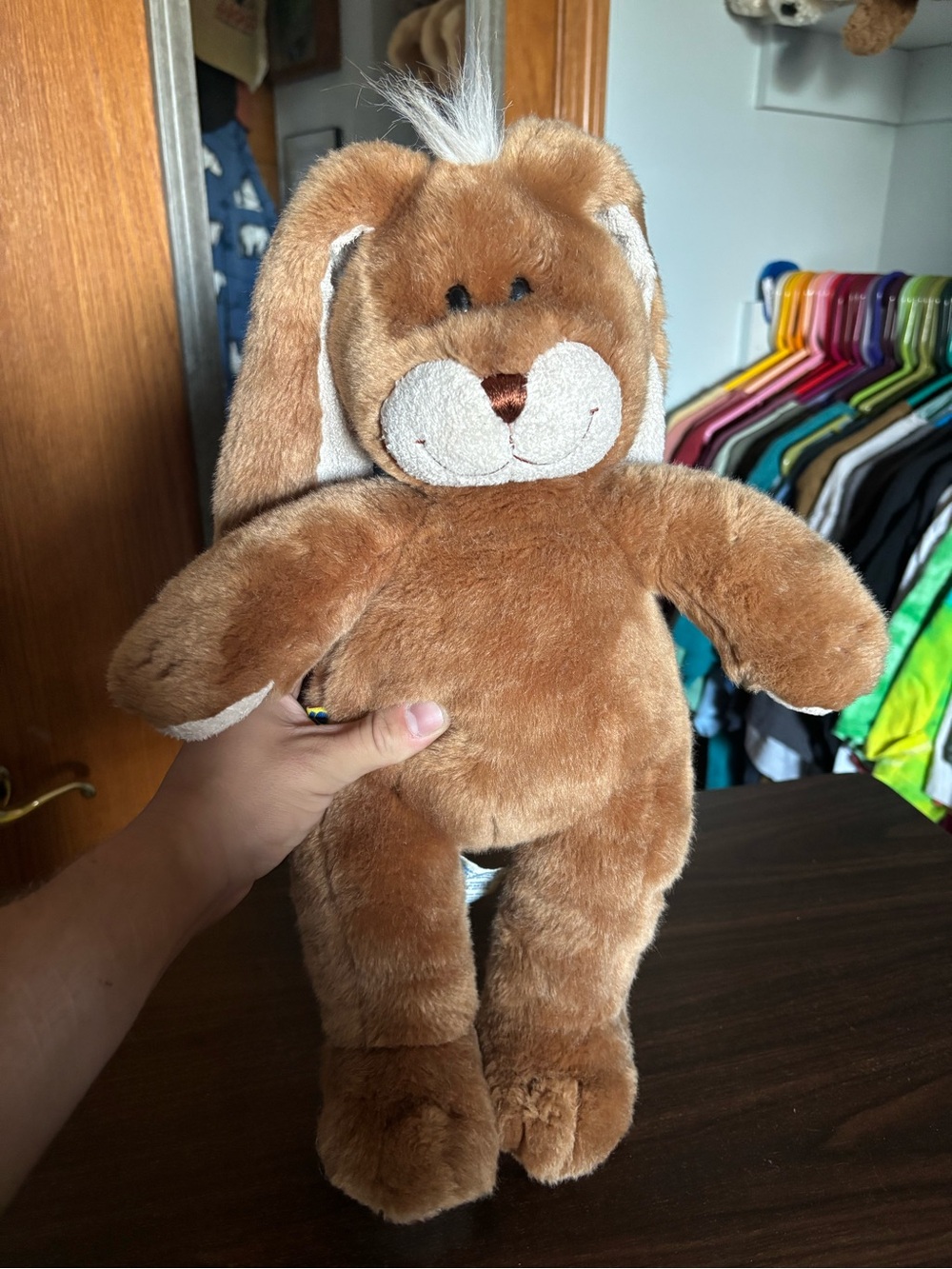Build a Bear bunny plush